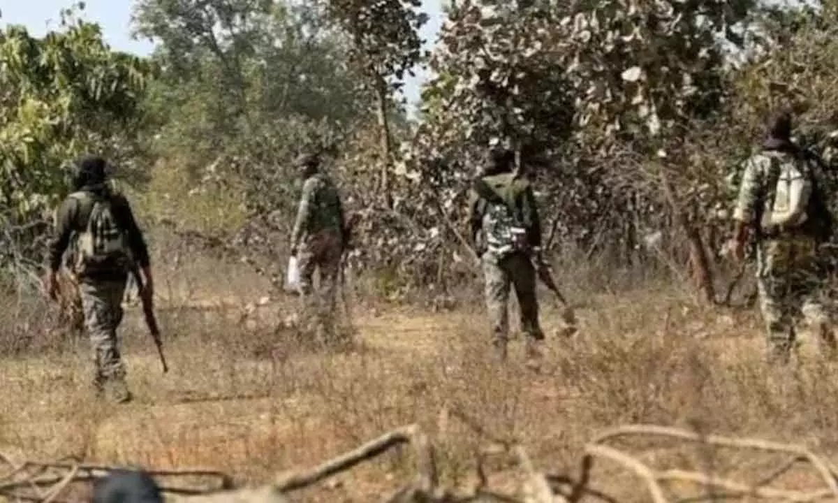 13 Maoists Killed In Eight-Hour Encounter In Chhattisgarhs Bijapur: Authorities