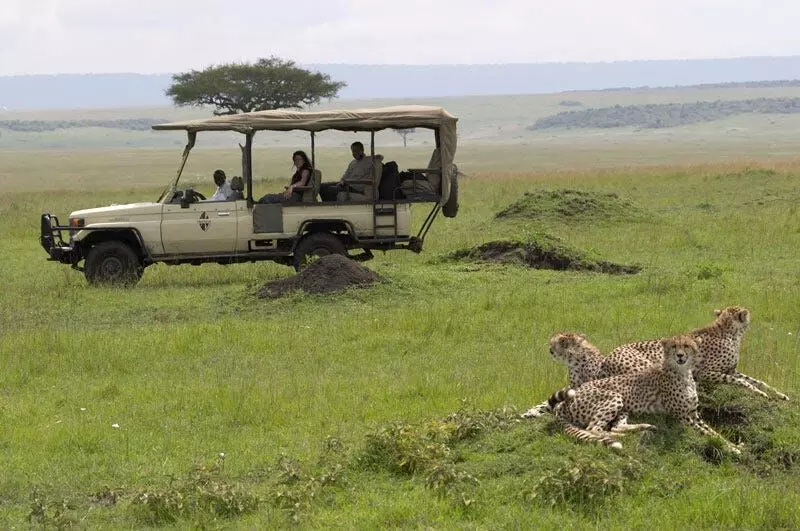 Unforgettable Adventures: Masai Mara Safari Packages in Kenya