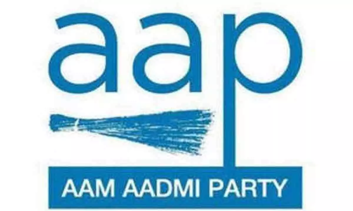 AAP releases list of its 40 star campaigners for Delhi and Haryana