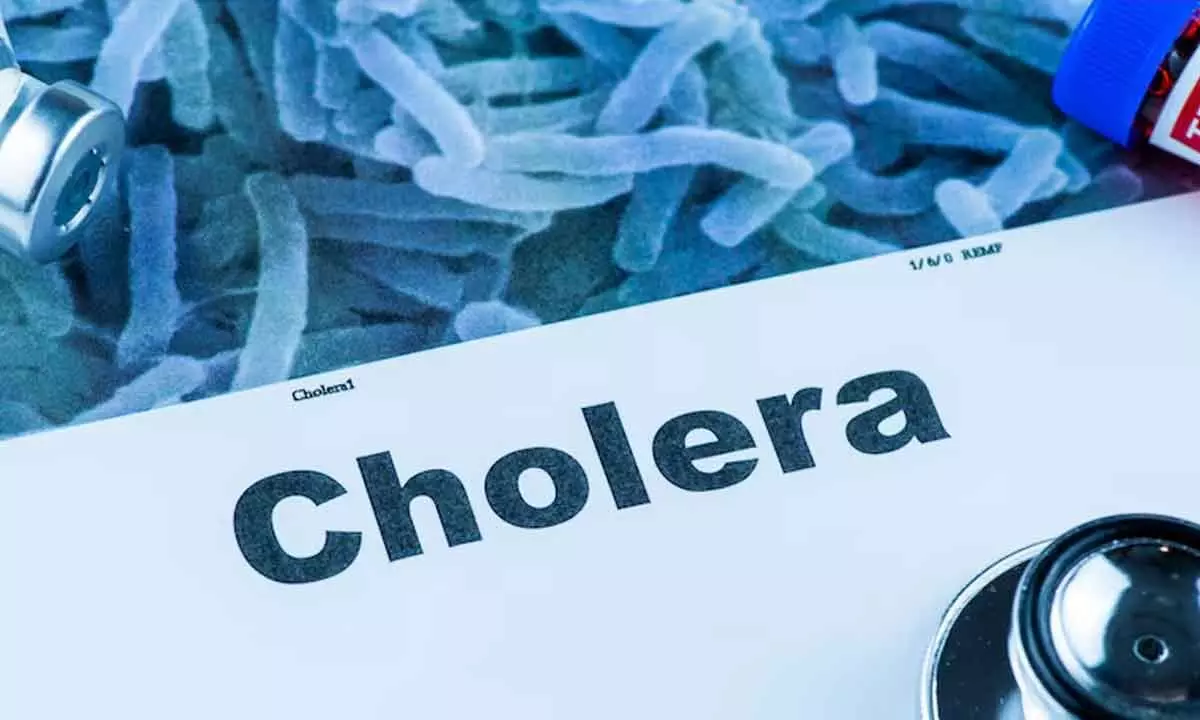 Cholera on the rise in Bengaluru