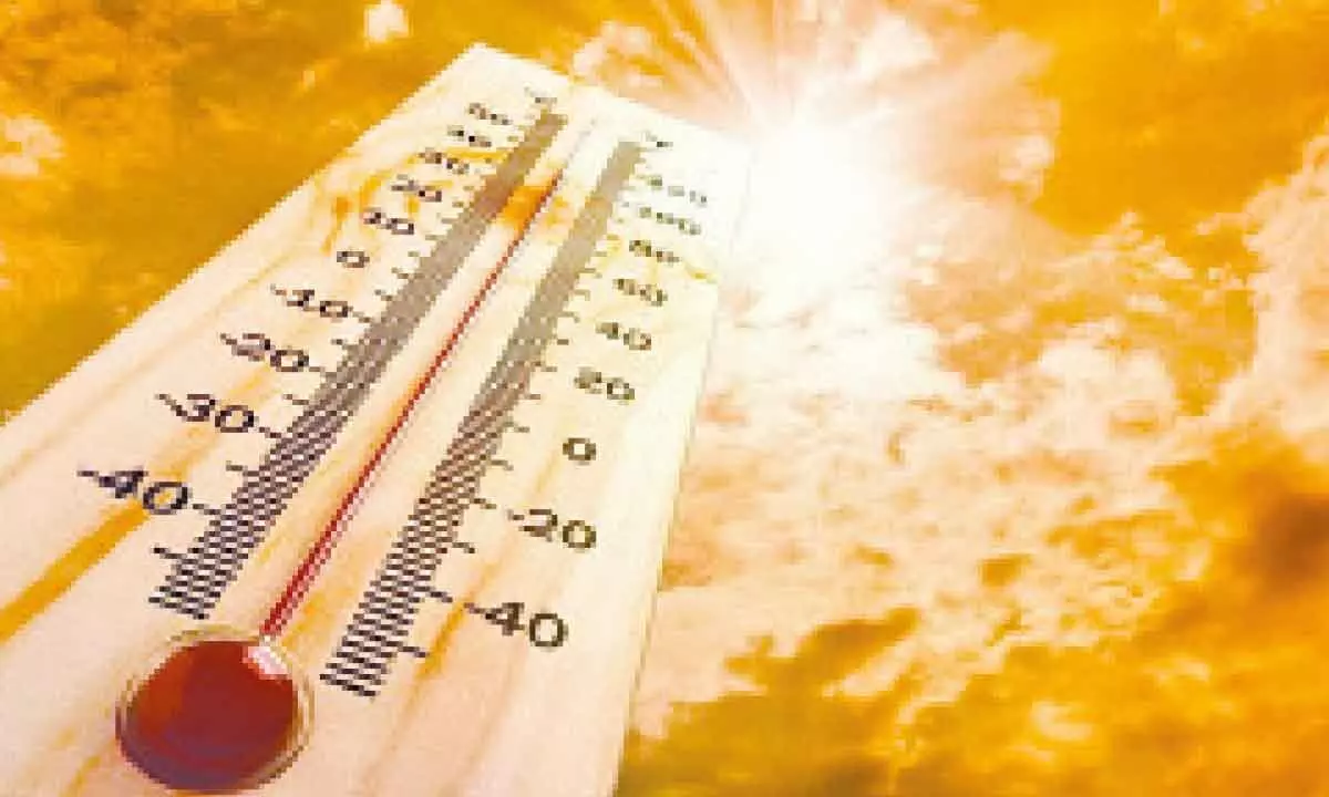 AP State reels under severe summer heat