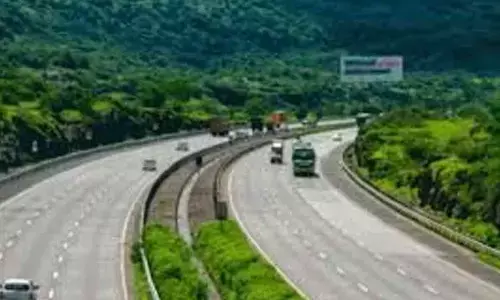 Noida: 7,500 trees cut for 16-km section of Delhi-Doon Expressway