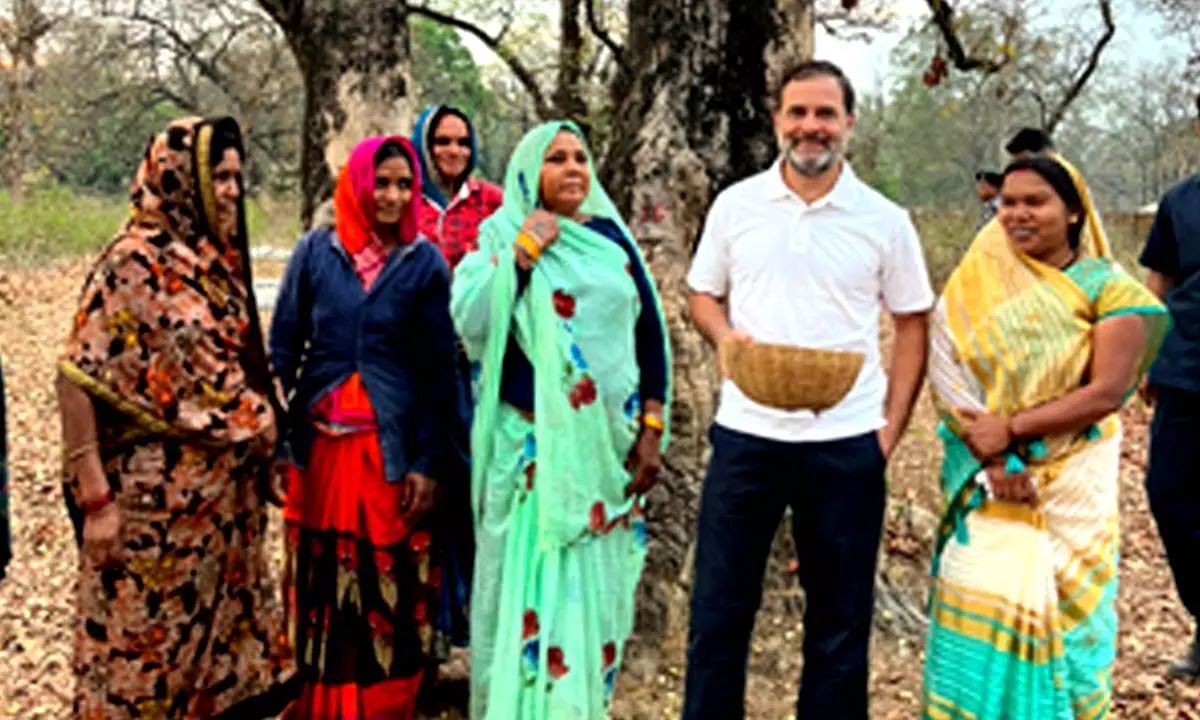 Rahul Gandhi makes surprise visit to women collecting mahua flowers in MP’s Shahdol