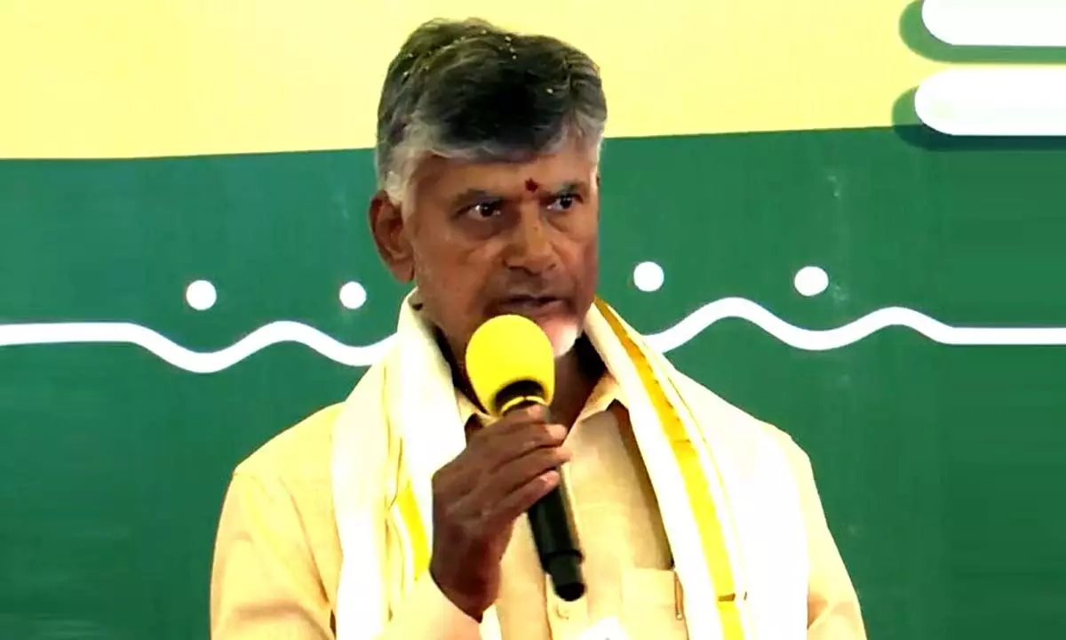 Chandrababu offers sops to volunteers, says they will be retained with enhanced salary