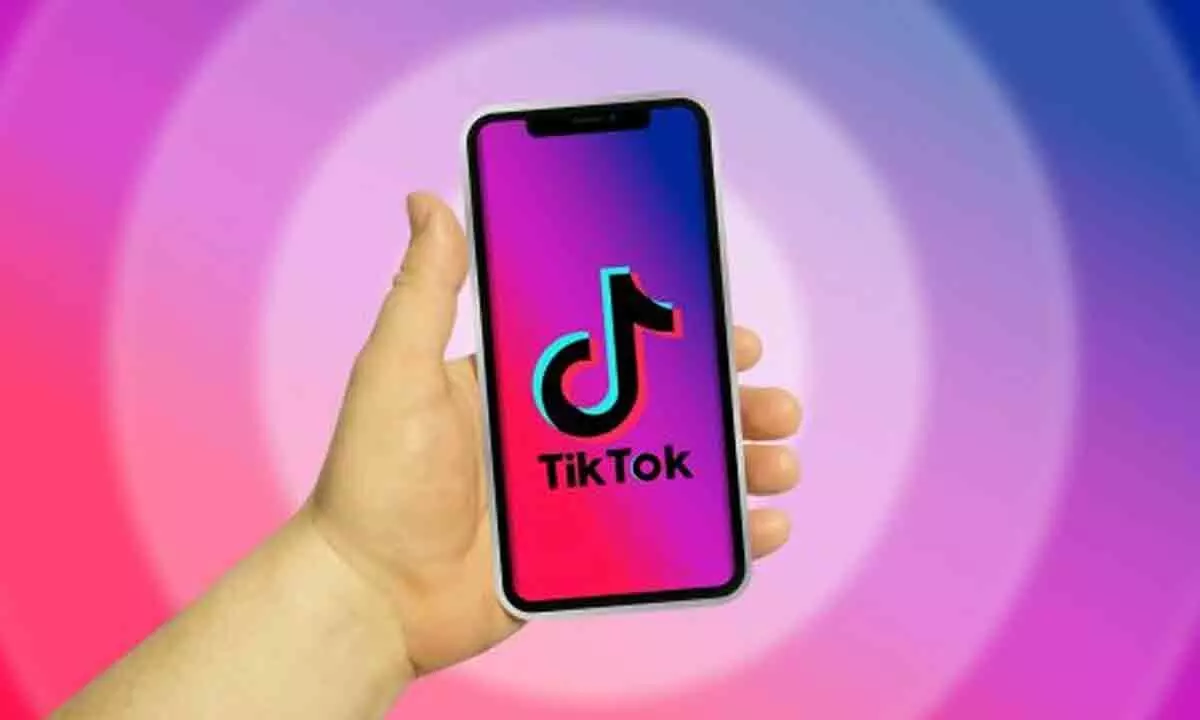 TikTok Teases New Photo-Sharing App: TikTok Notes