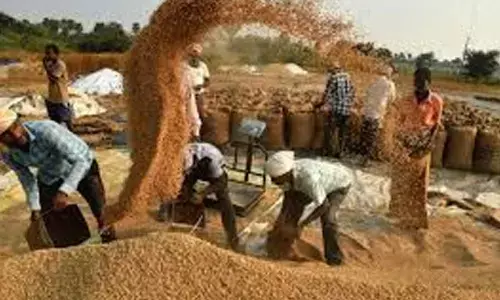 Civil Supplies Dept to procure over 75 lakh MT paddy