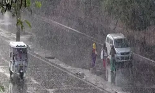 India headed for a normal monsoon: Skymet