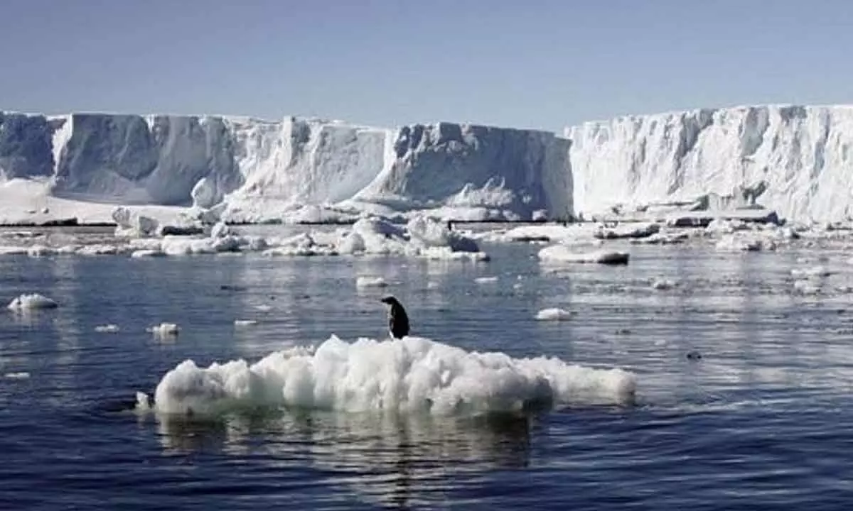 Antarctica’s sea ice hit another low this year