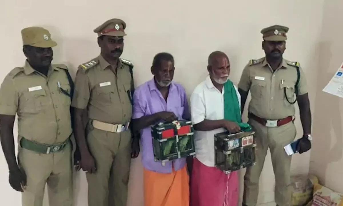 Fortune Teller Arrested For Parrot Predictions In Tamil Nadu