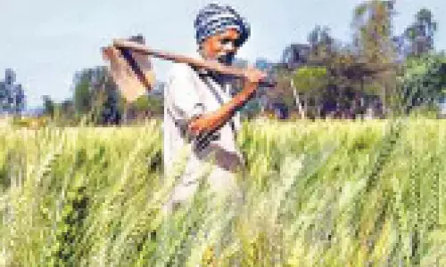 Skymet: India headed for a normal monsoon