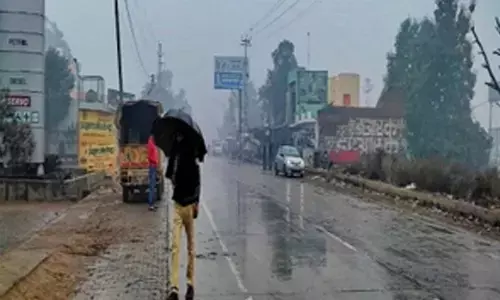 Tamil Nadu to witness slight drop in temperature in next few days