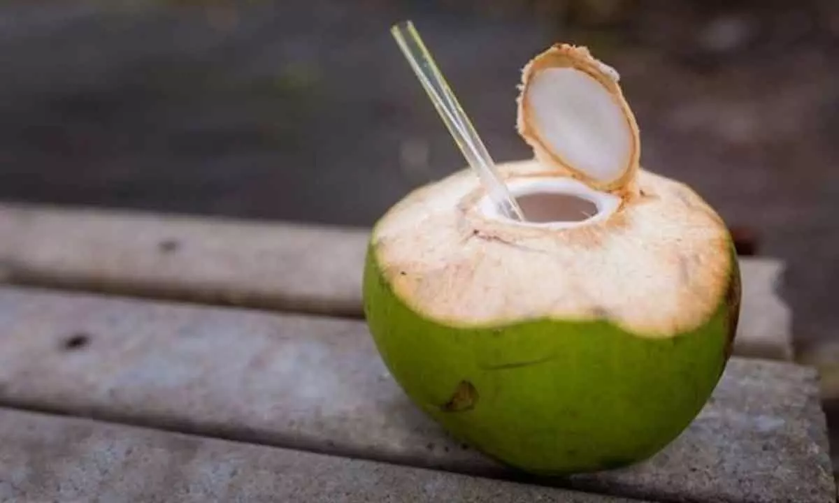 ‘Contaminated’ tender coconut water makes consumers sick