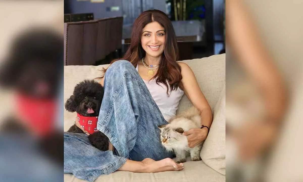 Shilpa Shetty shares about her bond with furry friends