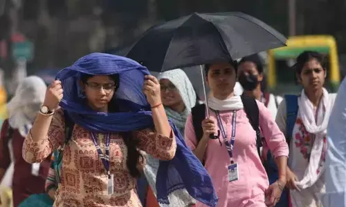 Bengaluru beware! Summer of 2024 is just a sneak peek