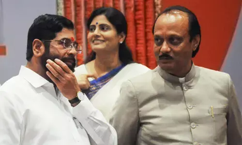 BJP drops names of Eknath Shinde, Ajit Pawar from list of star campaigners for Maha