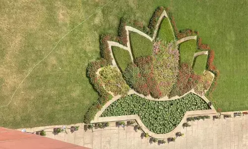 Significance of Lotus in Ancient culture and architecture