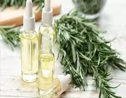 Harnessing the Power of Rosemary Oil for Healthy Hair and Finding the Best Sunscreen for Oily Skin