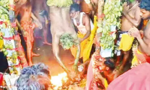 ‘Danda Nacha’ concludes with drops of blood as final offering