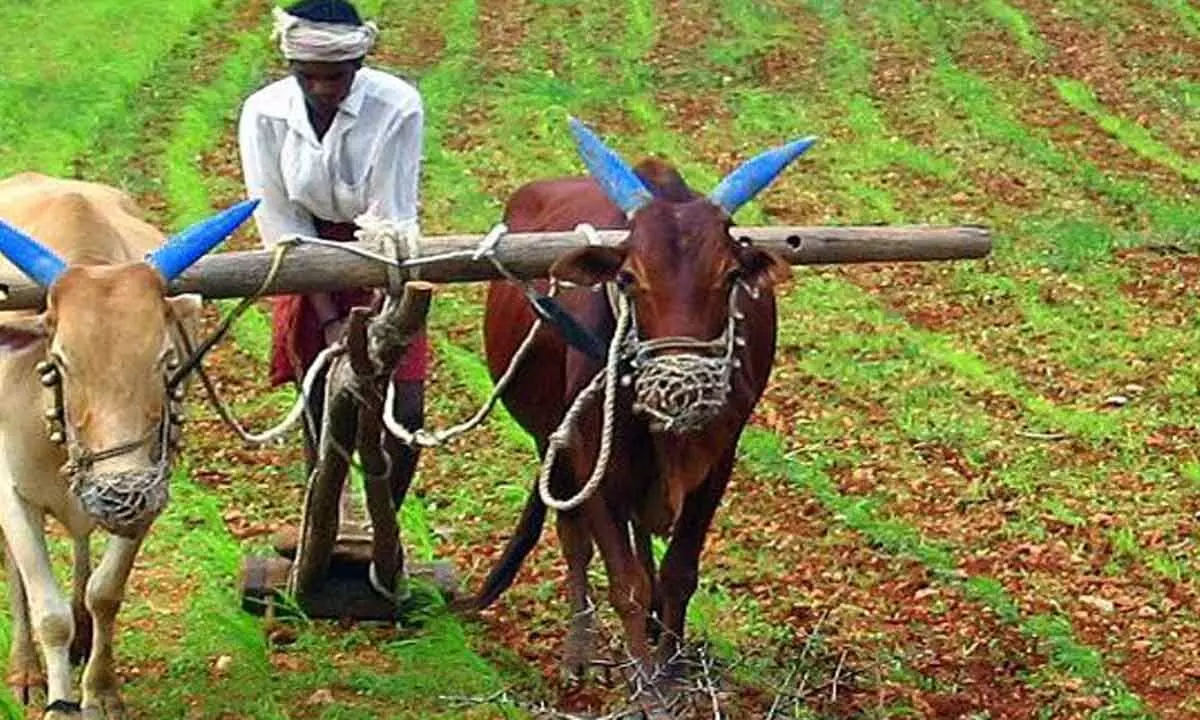 TS to implement farmers loan waiver scheme by Aug 15