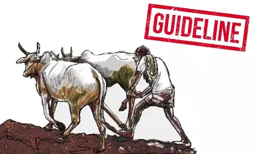 Guidelines being framed for loan waiver