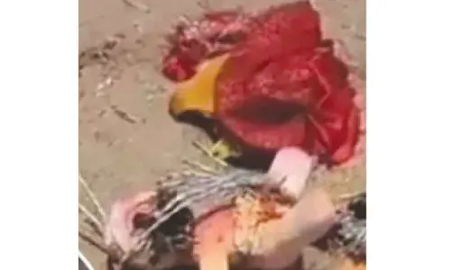 Traces of black magic found near KCR’s house spark panic