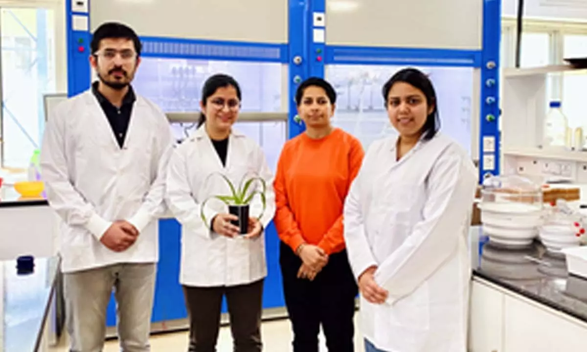New smart biodegradable microgels to boost sustainable agriculture