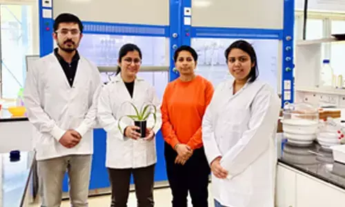New smart biodegradable microgels to boost sustainable agriculture