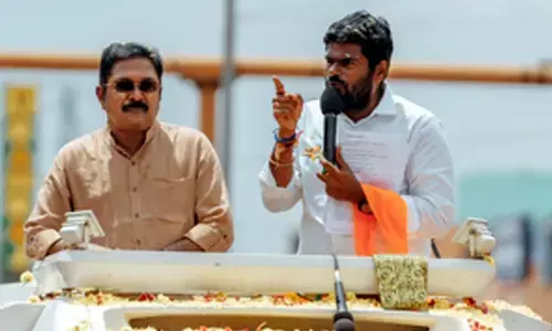 DMK cadres asked to be cautious in 4 LS seats where NDA seen as having an edge