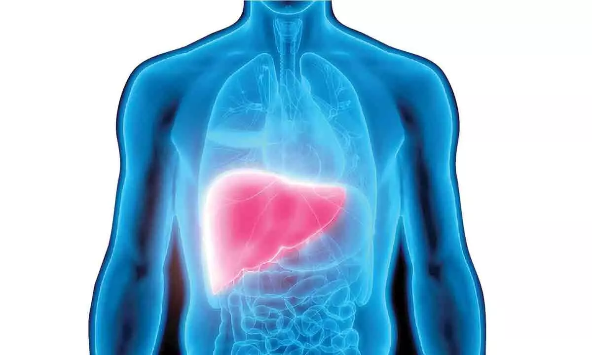 Educating youth about importance of maintaining a healthy liver