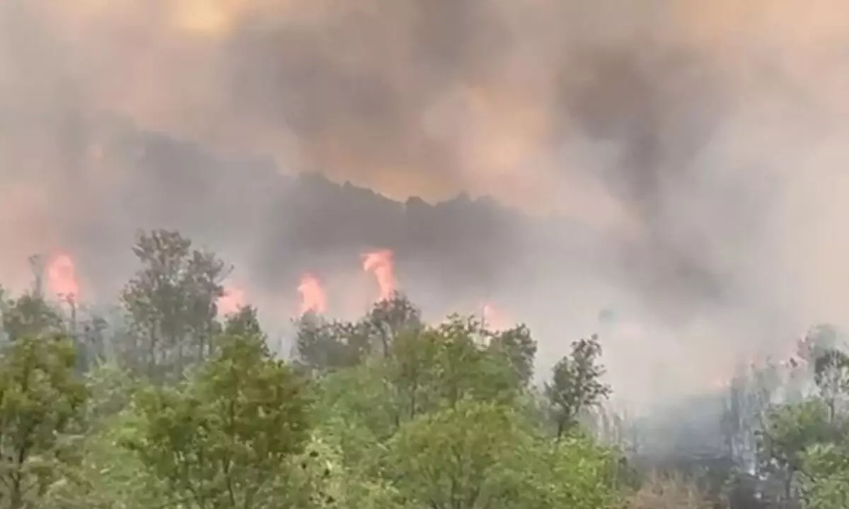 Fire in TTD Forest in Tirumala