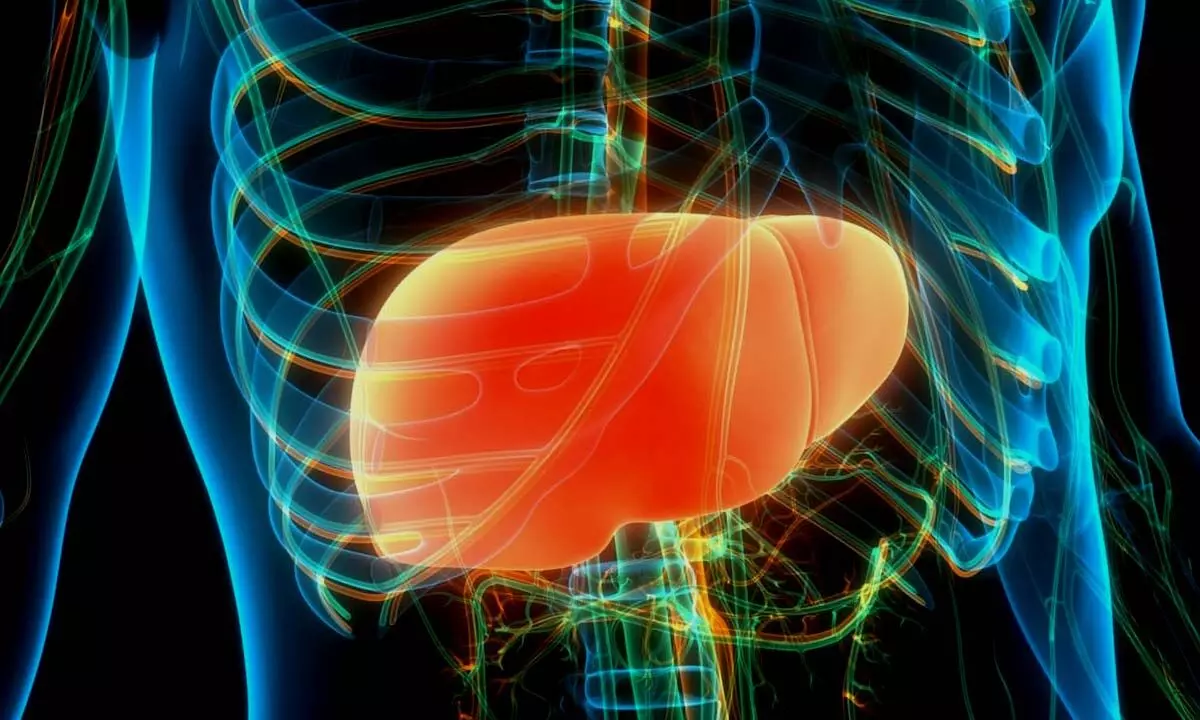 Manage Your Liver Health and Boost Your Energy