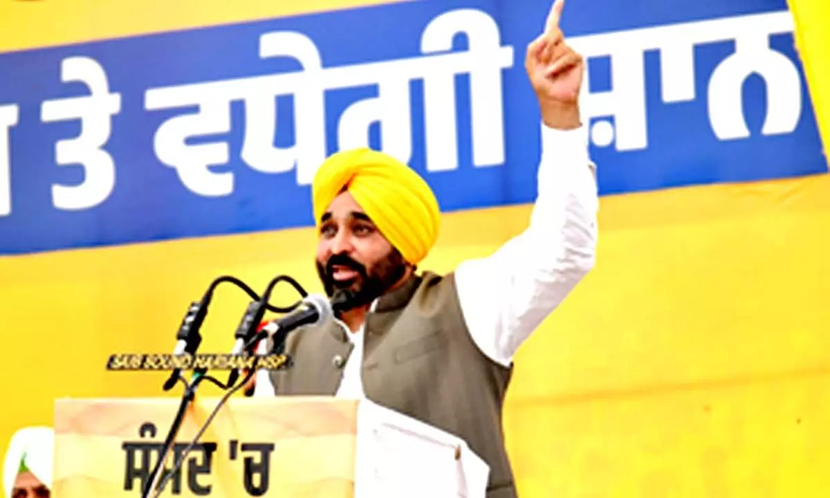 AAP volunteers passion differentiates them from other parties: Punjab CM