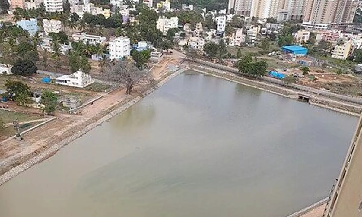A revived urban pond in Bengaluru collecting treated sewage water from the vicinity. Photo by Janavigyan/Wikimedia Commons.