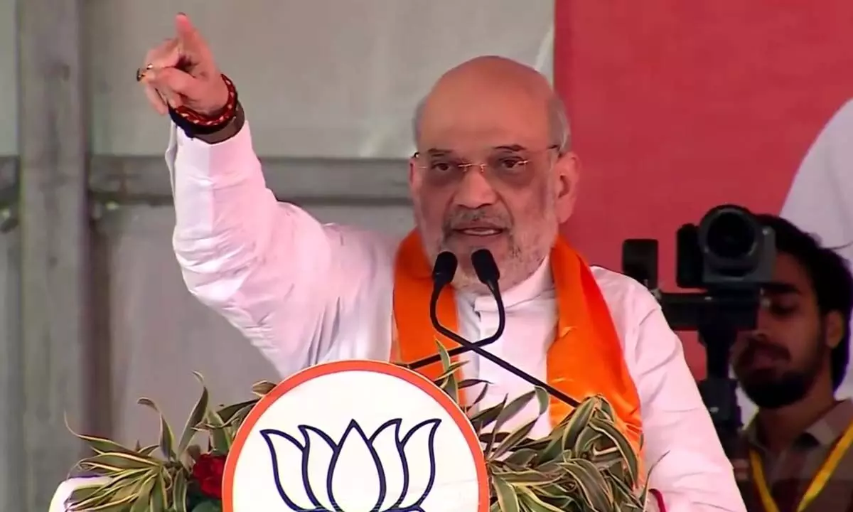 BJP winning 35 seats in Bengal will guarantee freedom from illegal infiltration: Amit Shah