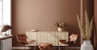 Different Types of Paint for Interior Walls