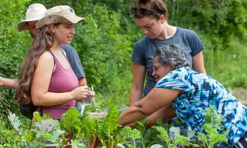 Embracing urban farming