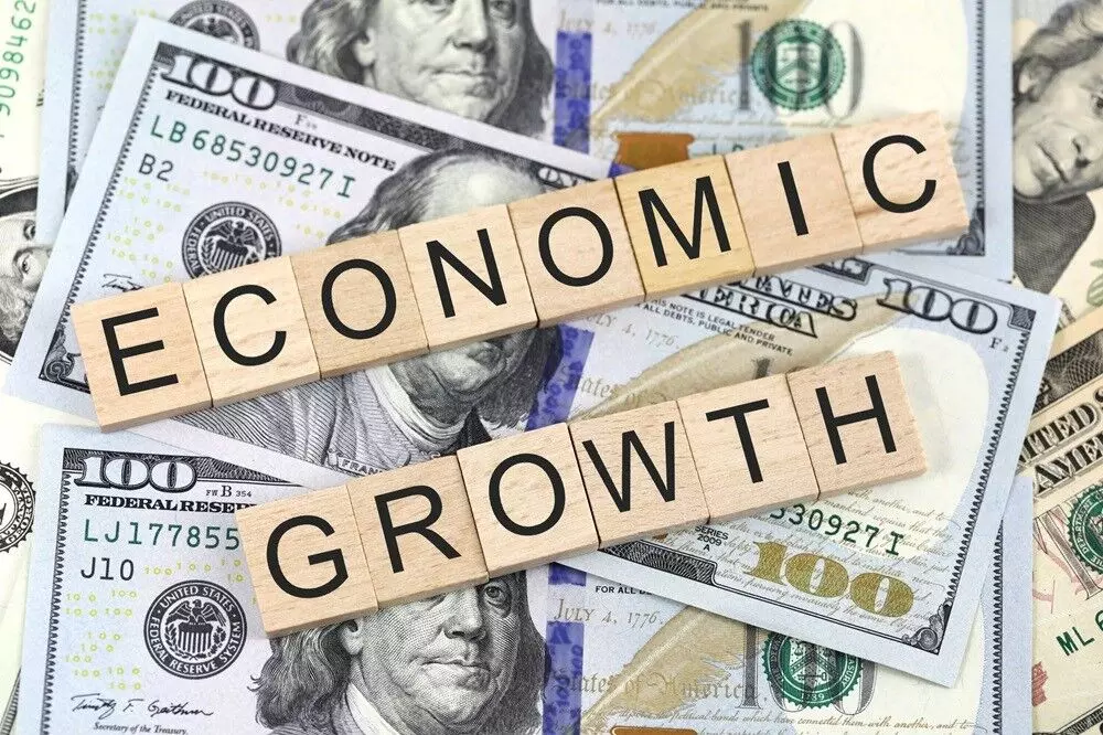 How Does an Economy Grow and Why Does It Crash?