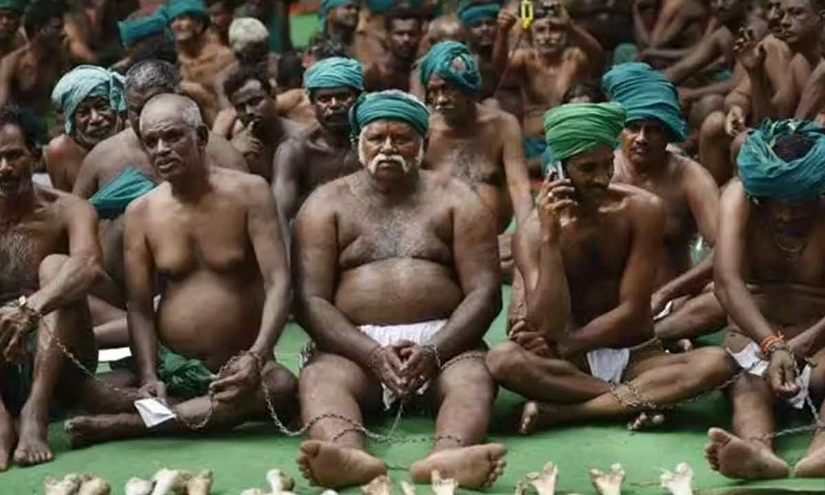 Tamil Nadu Farmers Rally At Jantar Mantar, Demand Action On Crop Prices And River Interlinking