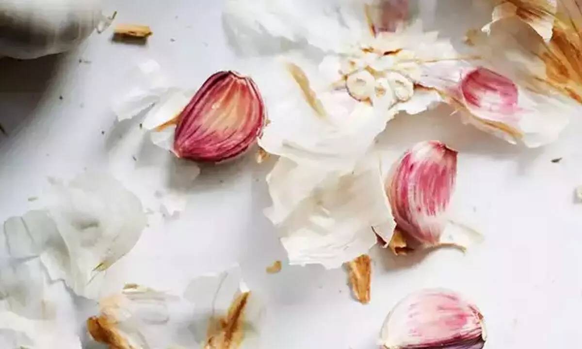 Unveiling the Hidden Gems: Surprising Health Benefits of Garlic Peels