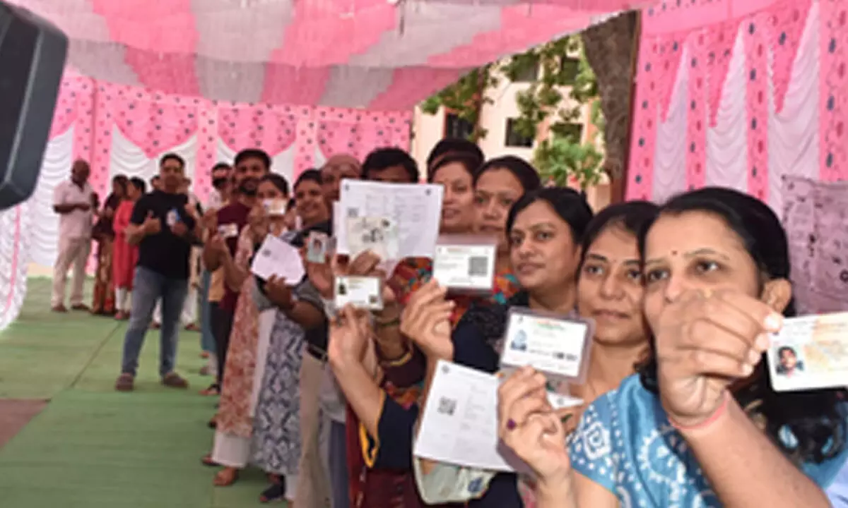 Free haircut, mehendi for women on offer as Maharashtra votes in Phase 2