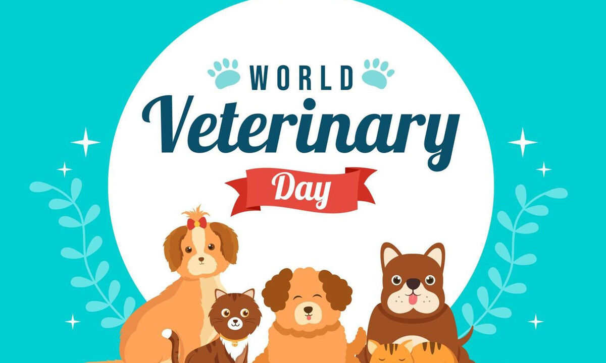 Celebrating World Veterinary Day 2024 Safeguarding Your Pet’s Vision