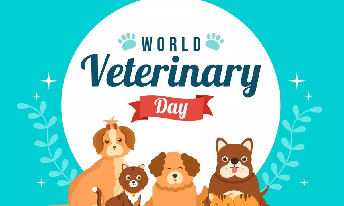 Celebrating World Veterinary Day 2024: Safeguarding Your Pet’s Vision with Expert Tips