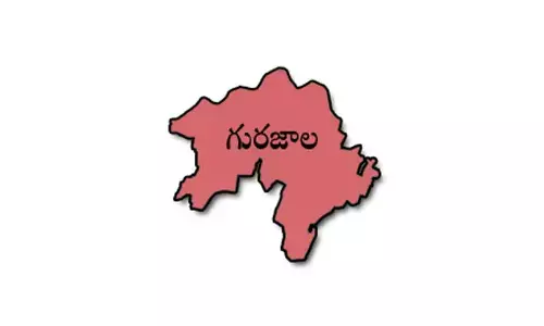 Lemon vendor Mallamma files nomination