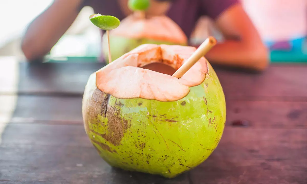 The Benefits of Tender Coconut Water for Health and Wellness