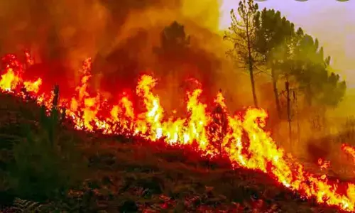 Uttarakhand Forest Fires Show Signs Of Calming Amid Rainfall; Efforts Continue In Affected Regions