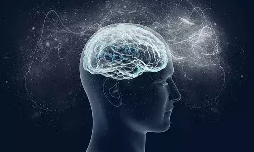 Study confirms air pollution increases risk of Alzheimers disease