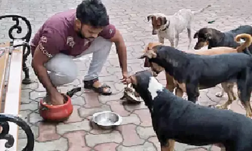 PETA issues advisory on animal care