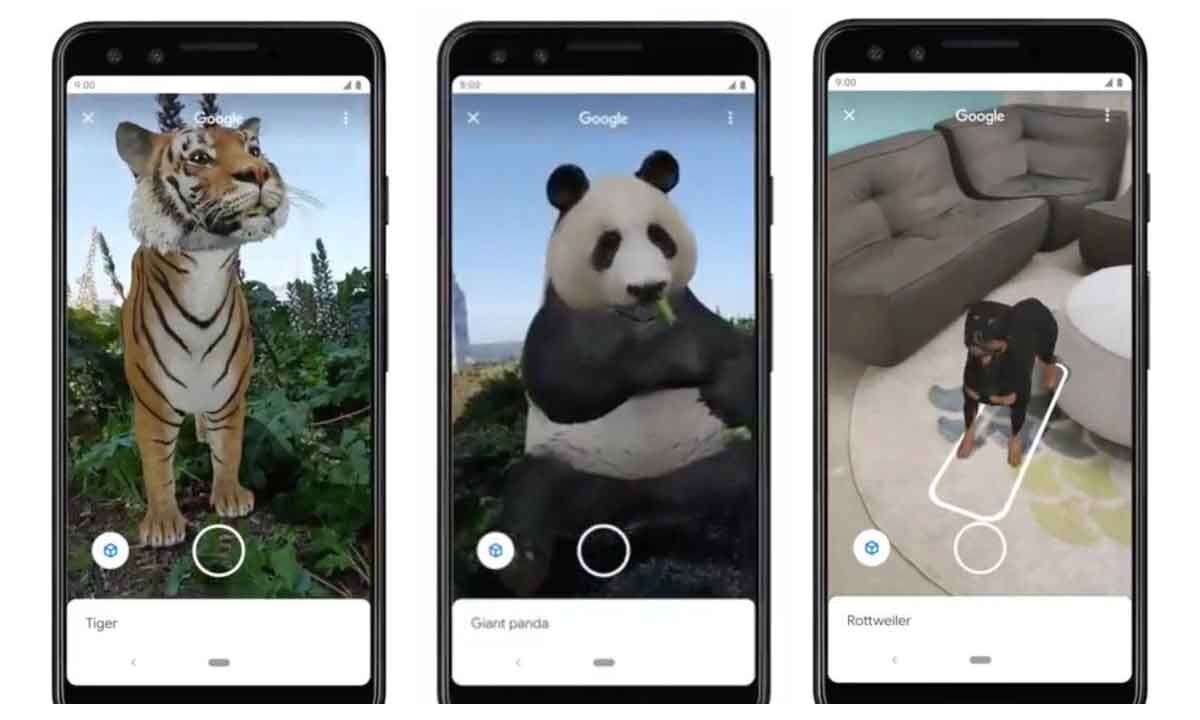 Google's AR Animals: A Farewell or Just a Glitch