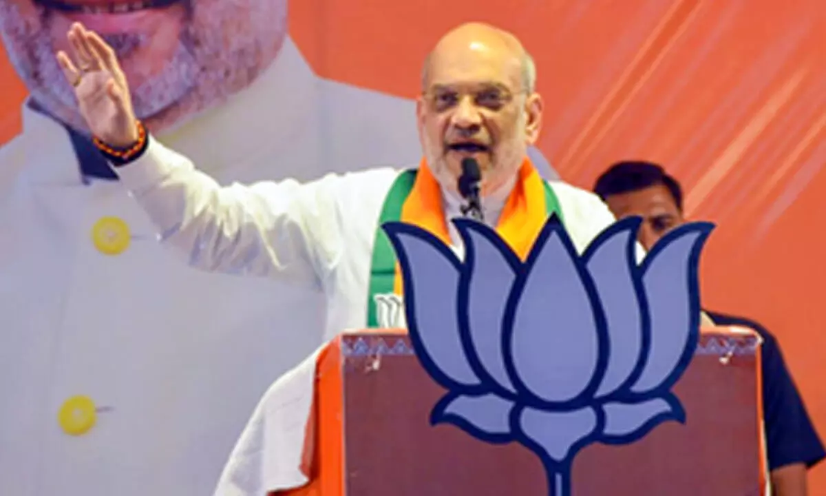 Home Minister Amit Shah to address rally in Goa on May 3