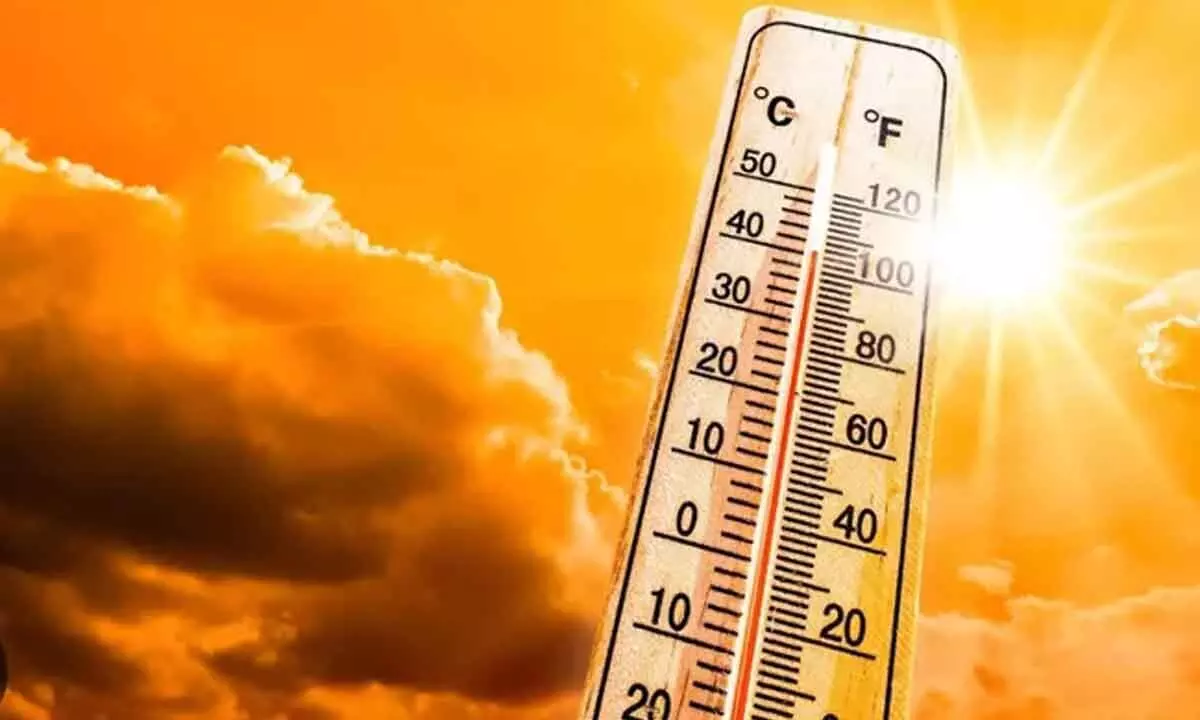 Rajasthan reels under intense heatwave, records over 40 deg C